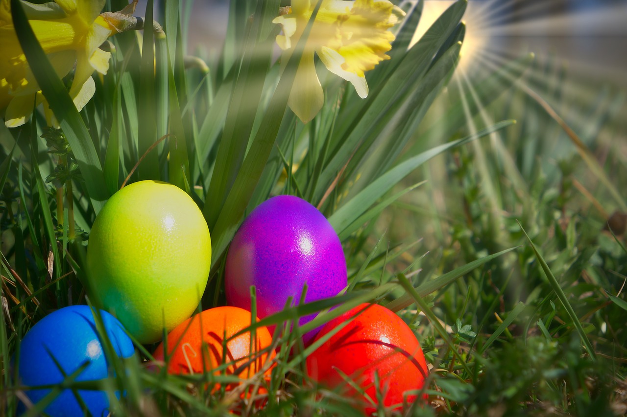 easter  egg  yellow flower free photo