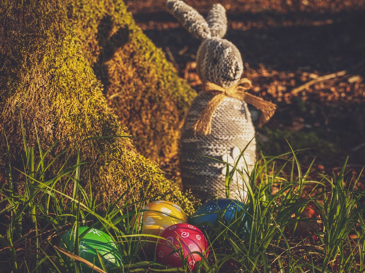 easter  egg  hare free photo