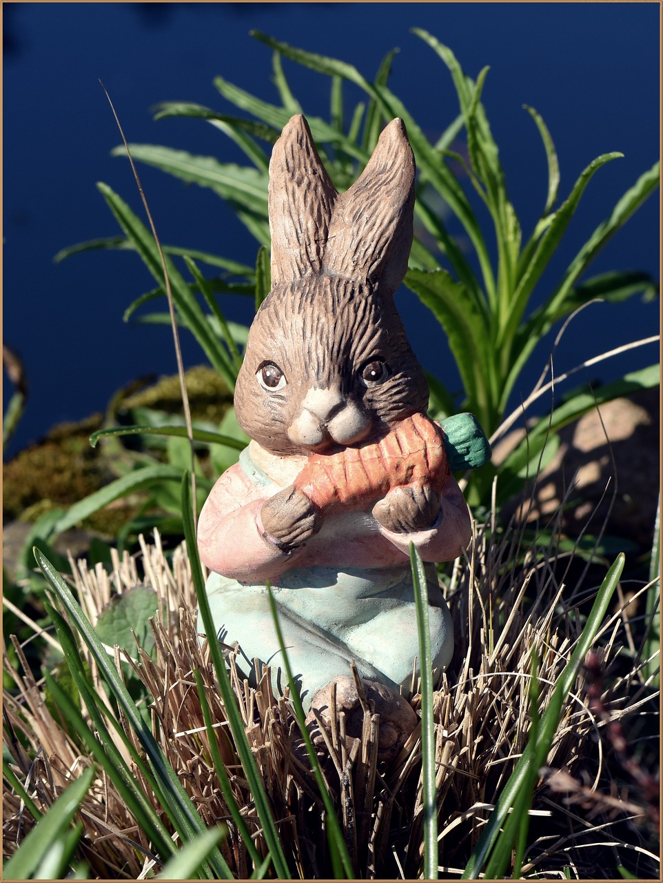 easter  easter bunny  hare free photo