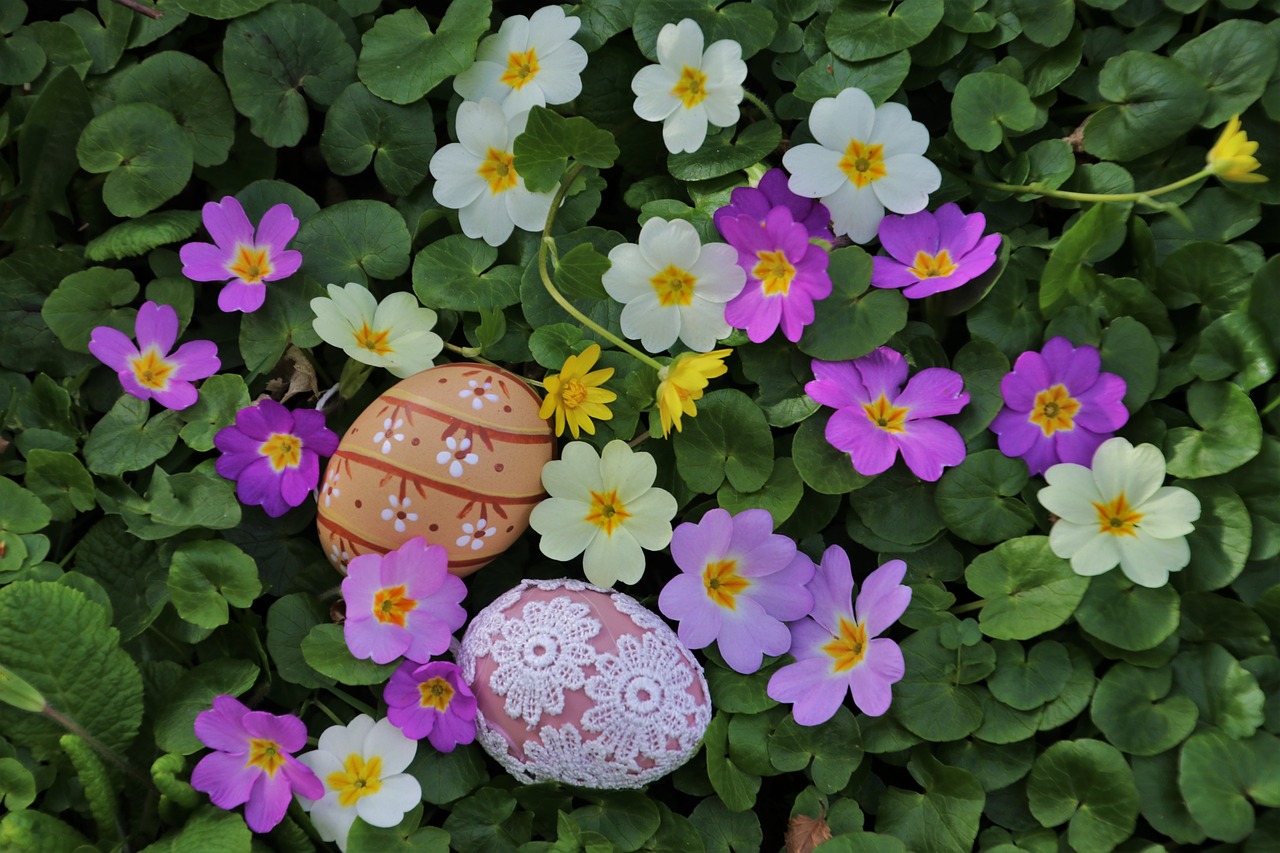 easter  easter eggs  prymule free photo