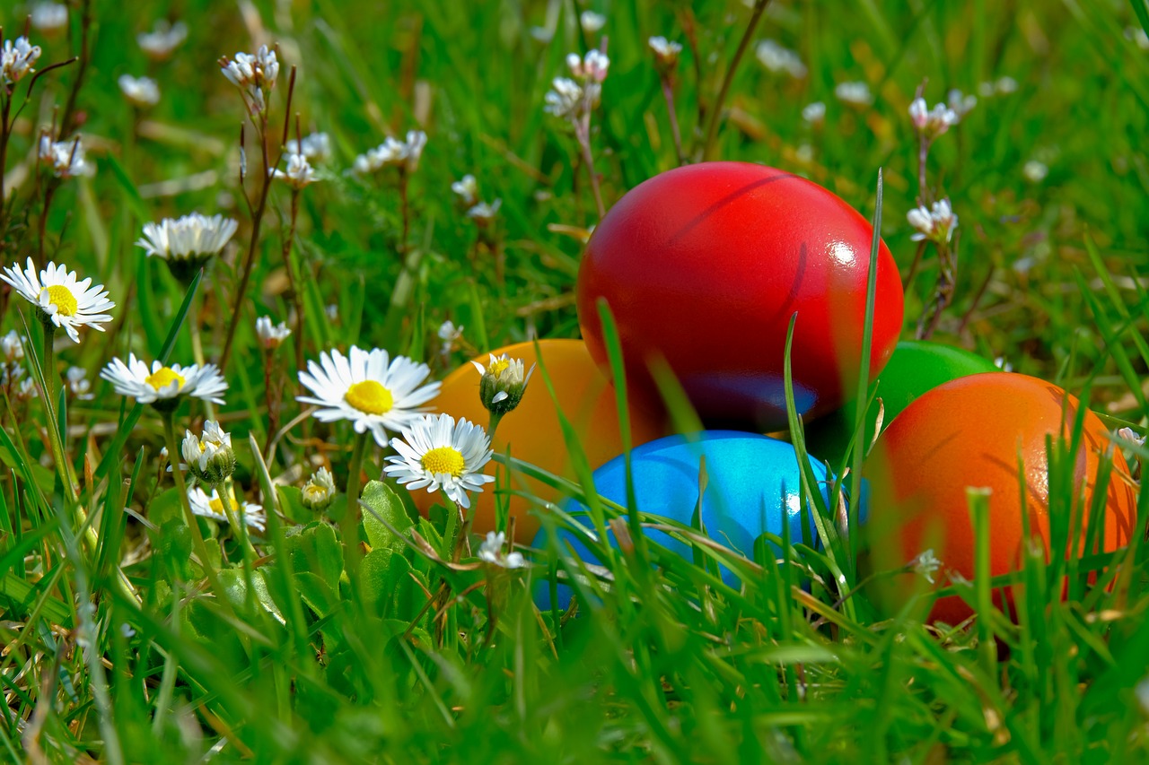 easter  easter eggs  colorful free photo