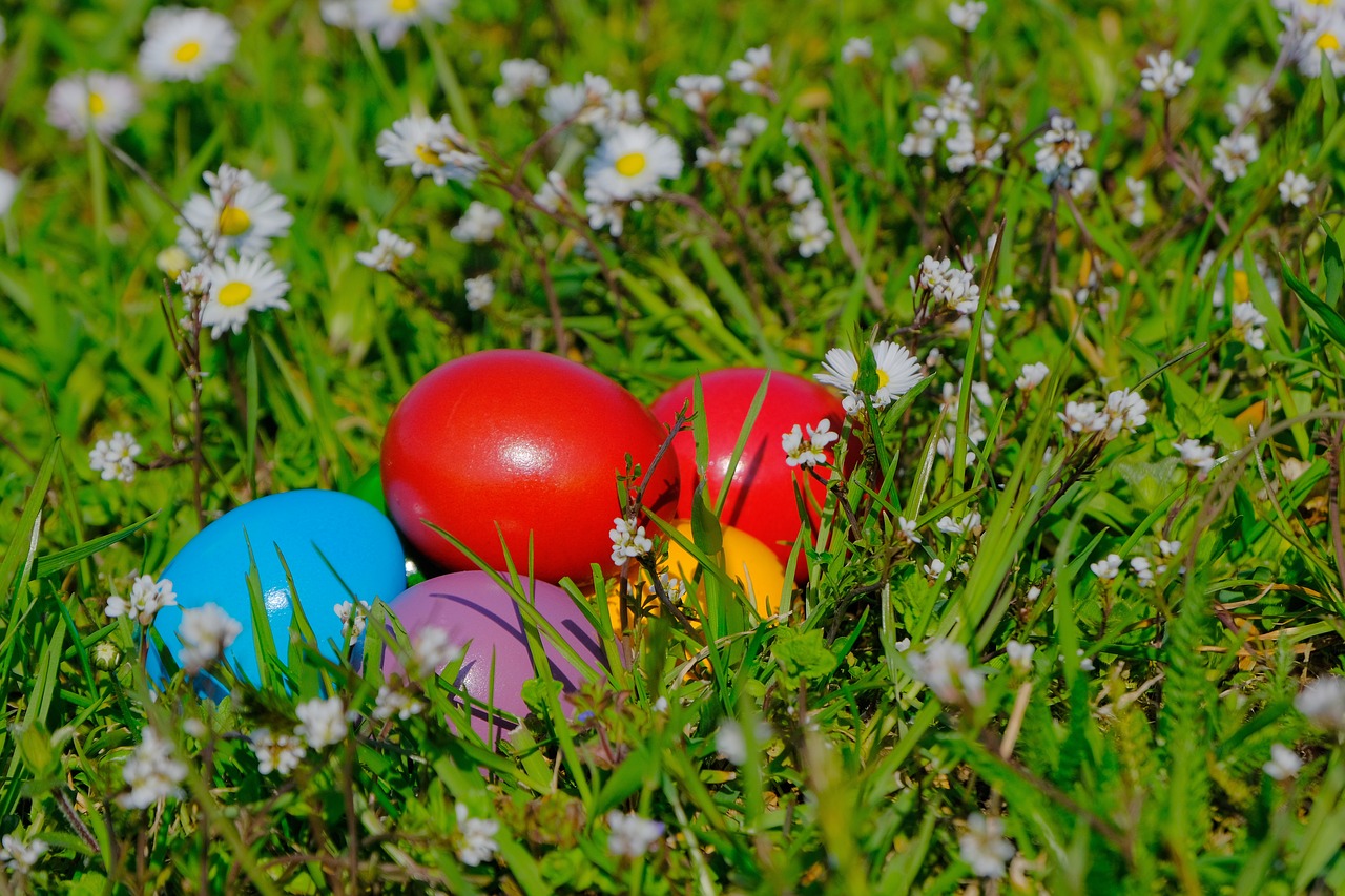 easter  easter eggs  colored free photo