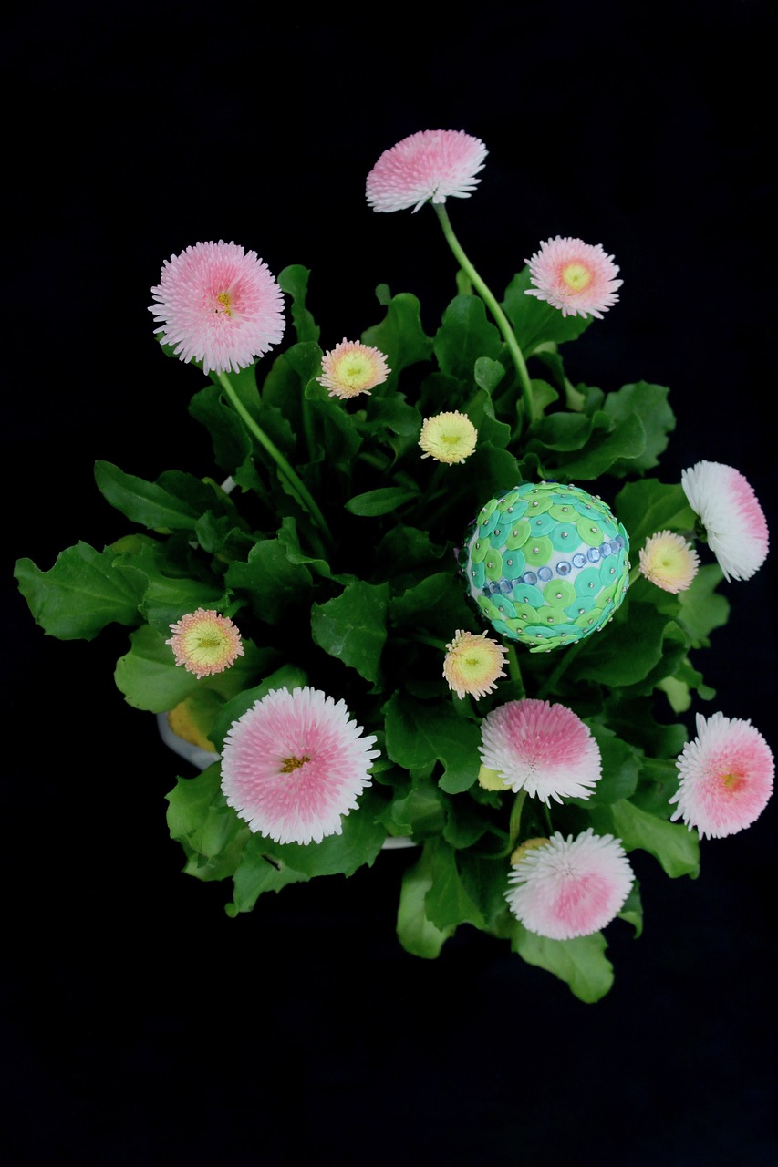 easter  egg  flowers free photo