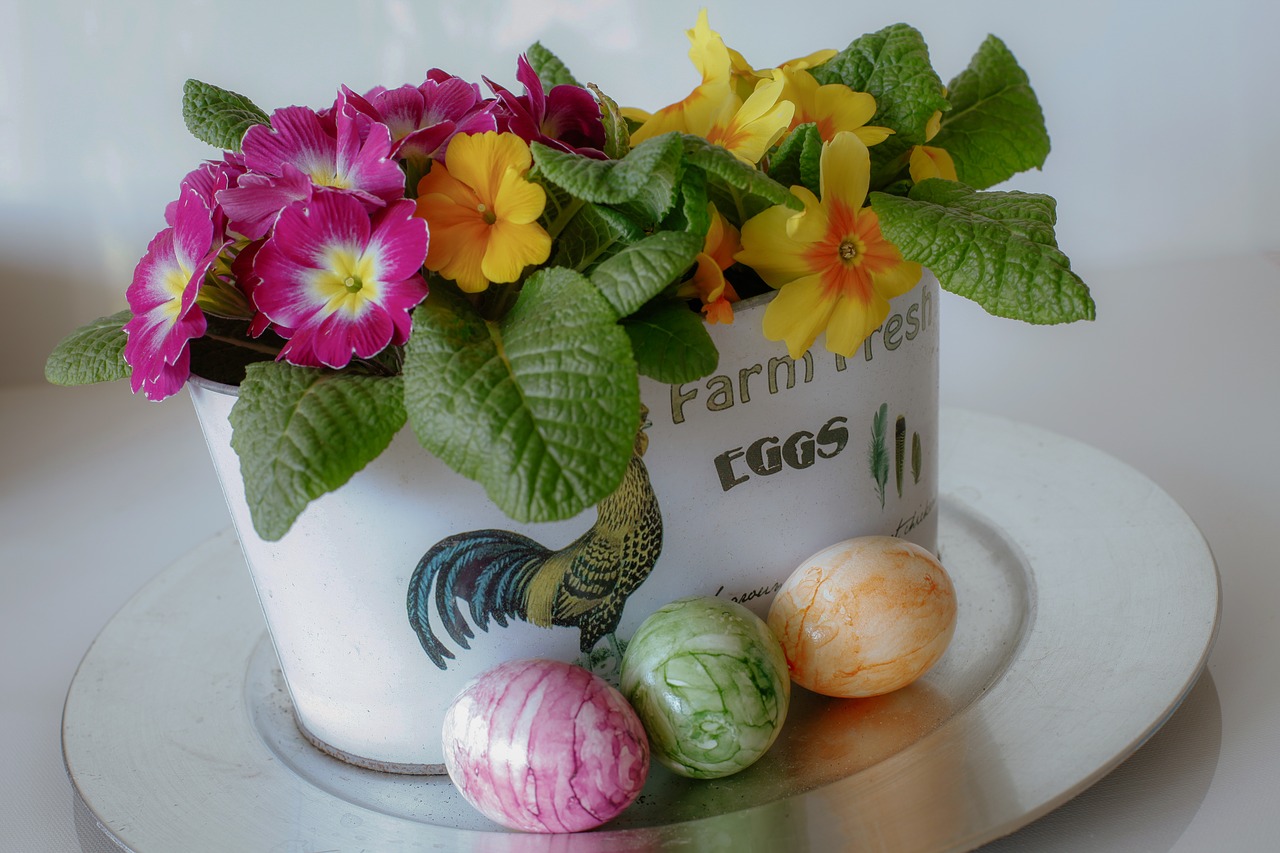 easter  egg  primroses free photo