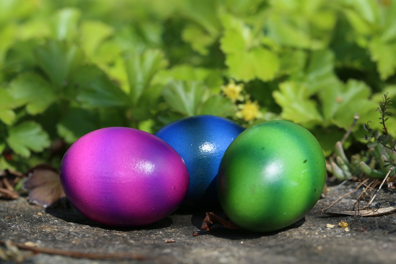 easter  easter eggs  colorful free photo