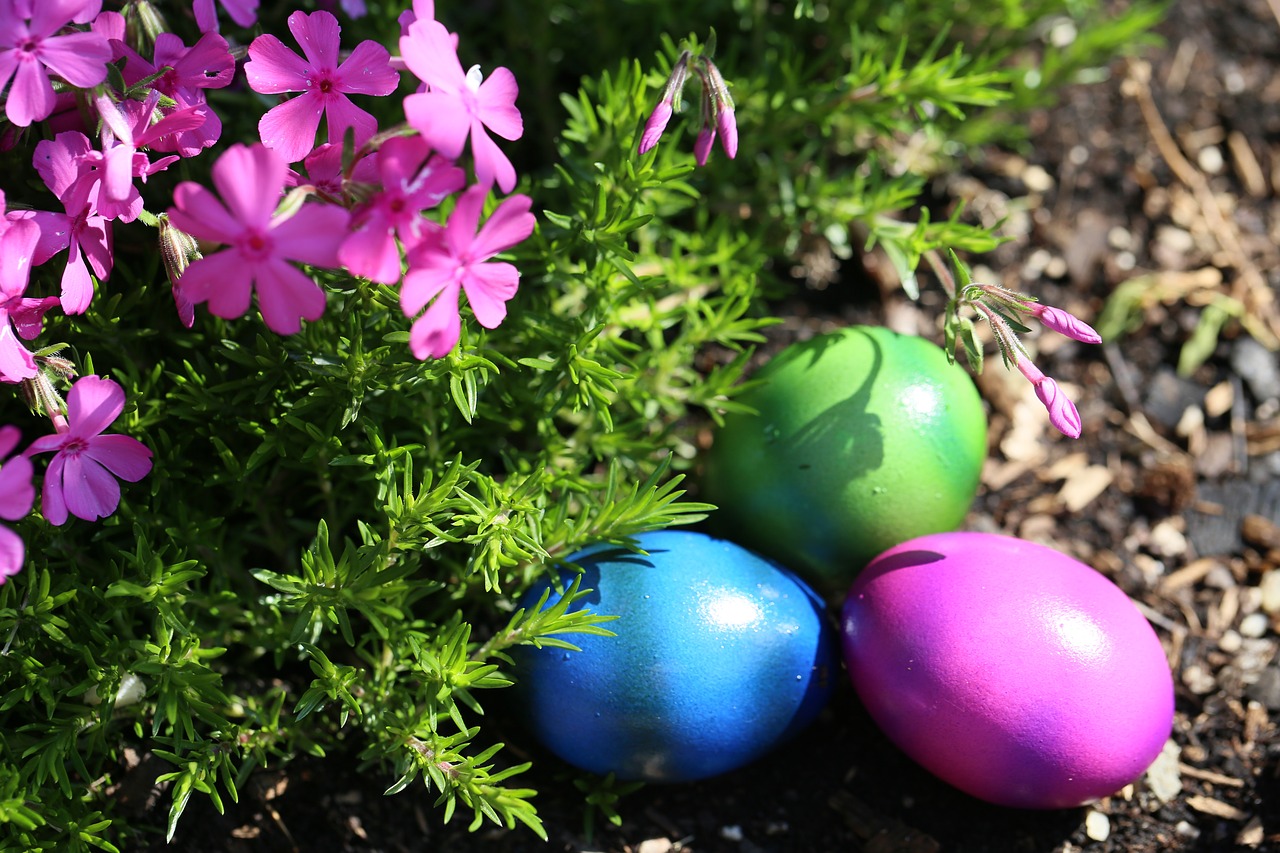 easter  easter eggs  colorful free photo