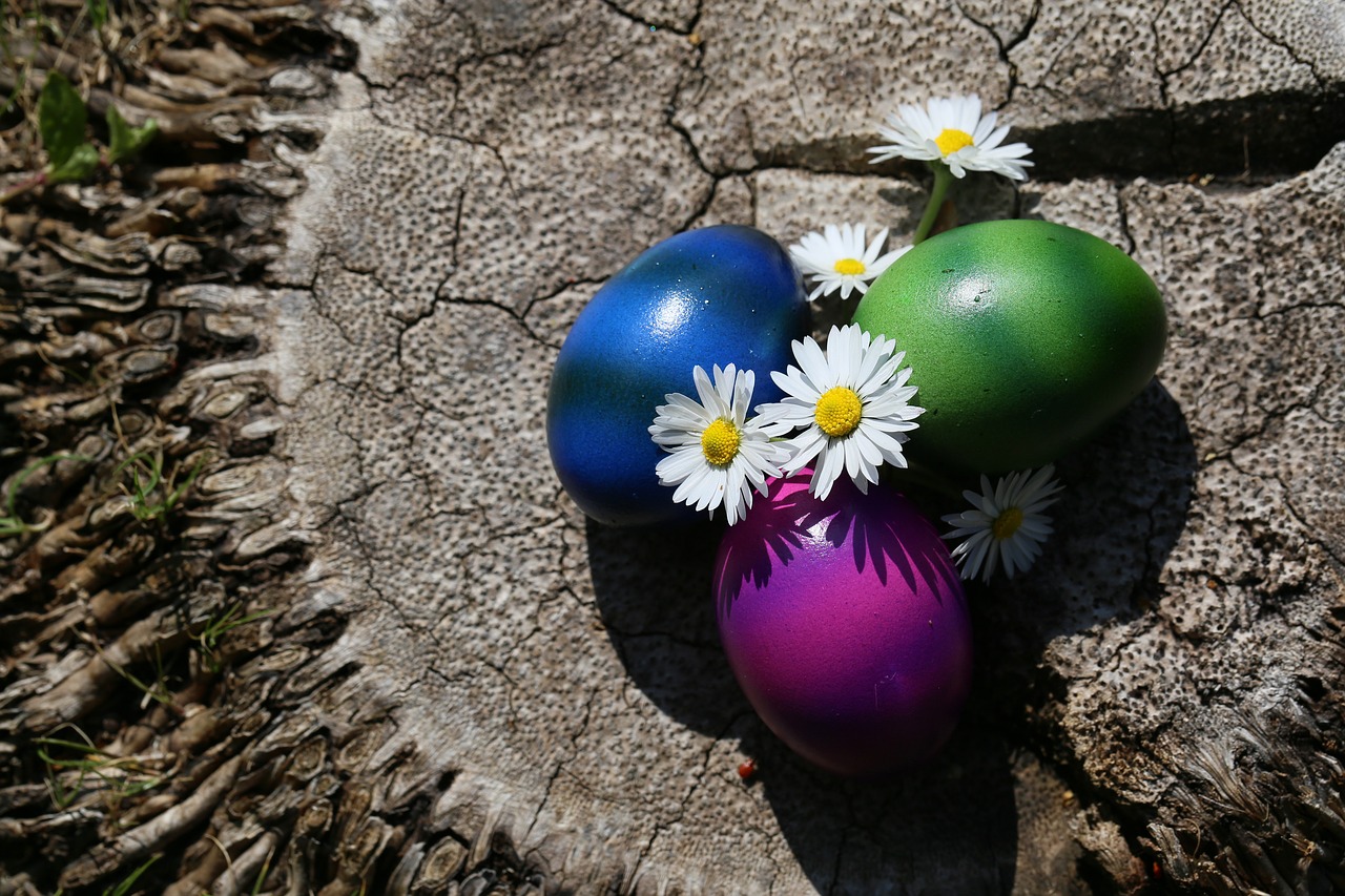 easter  easter eggs  colorful free photo