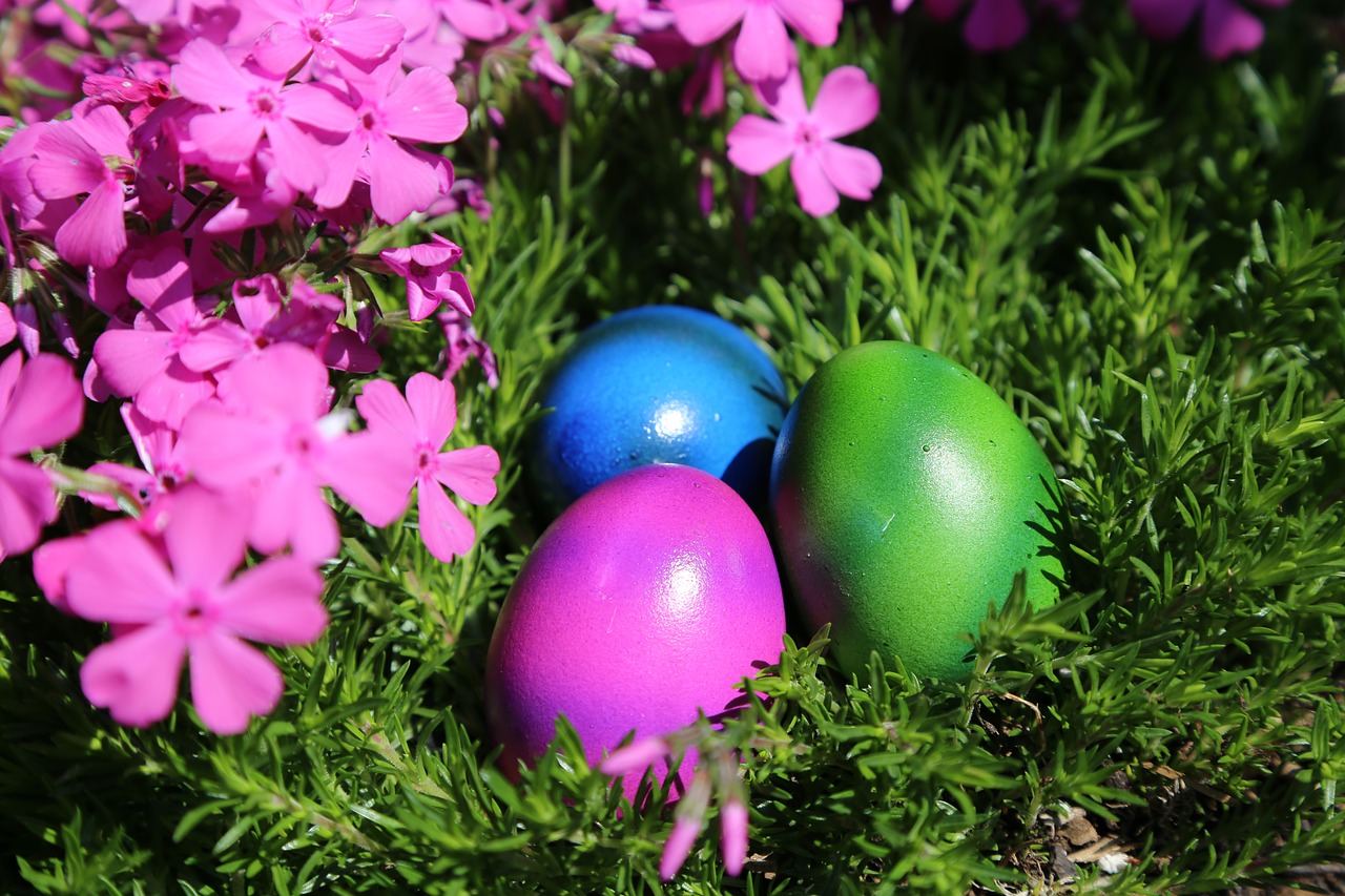 easter  easter nest  egg free photo