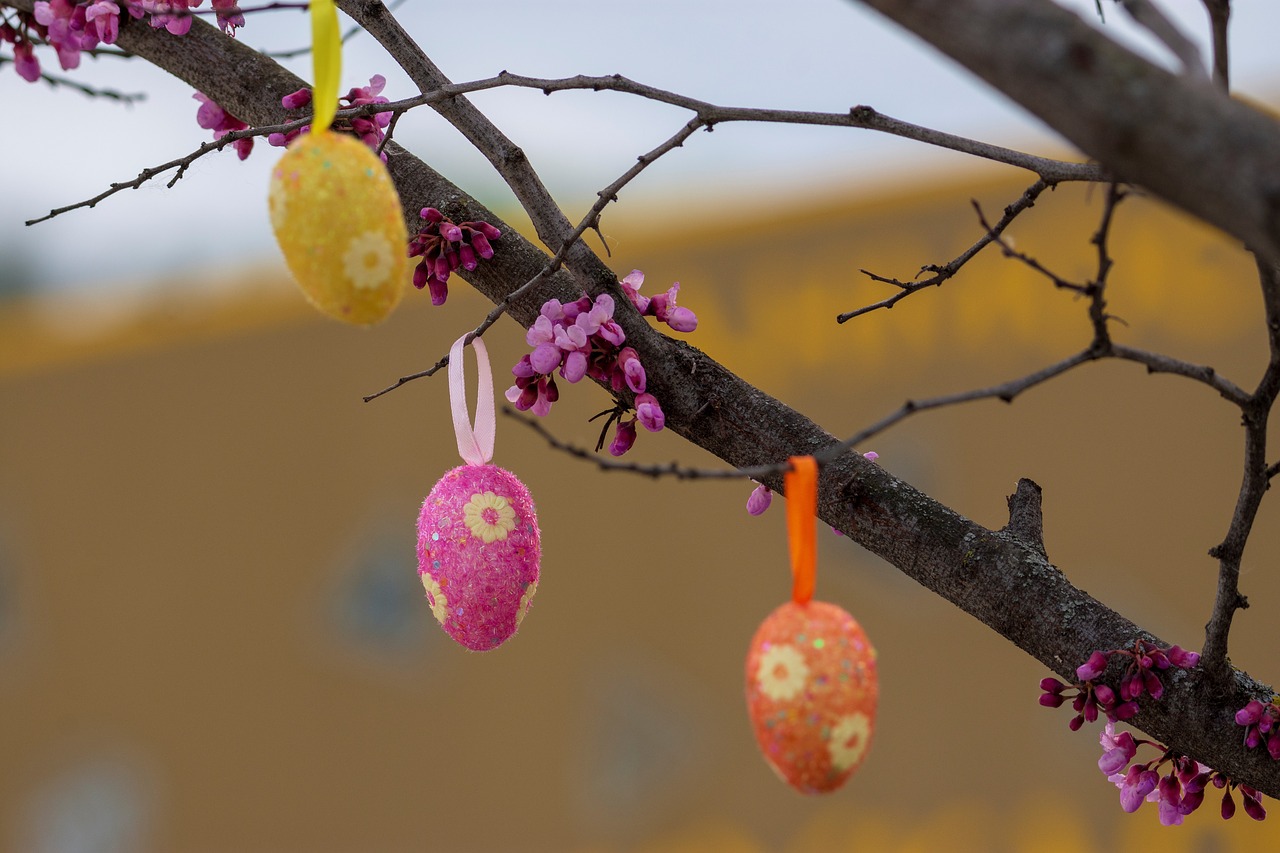 easter  eggs  happy free photo