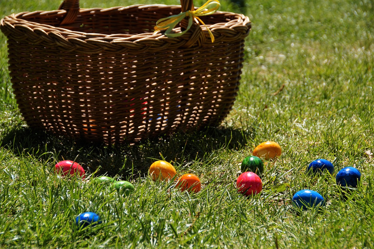 easter  search  eggs free photo