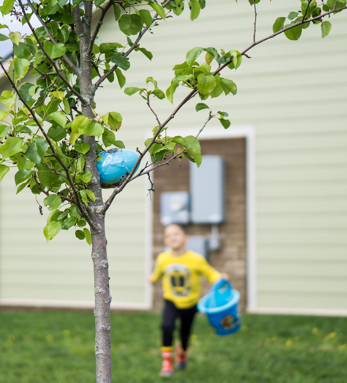 easter  kids  eggs free photo