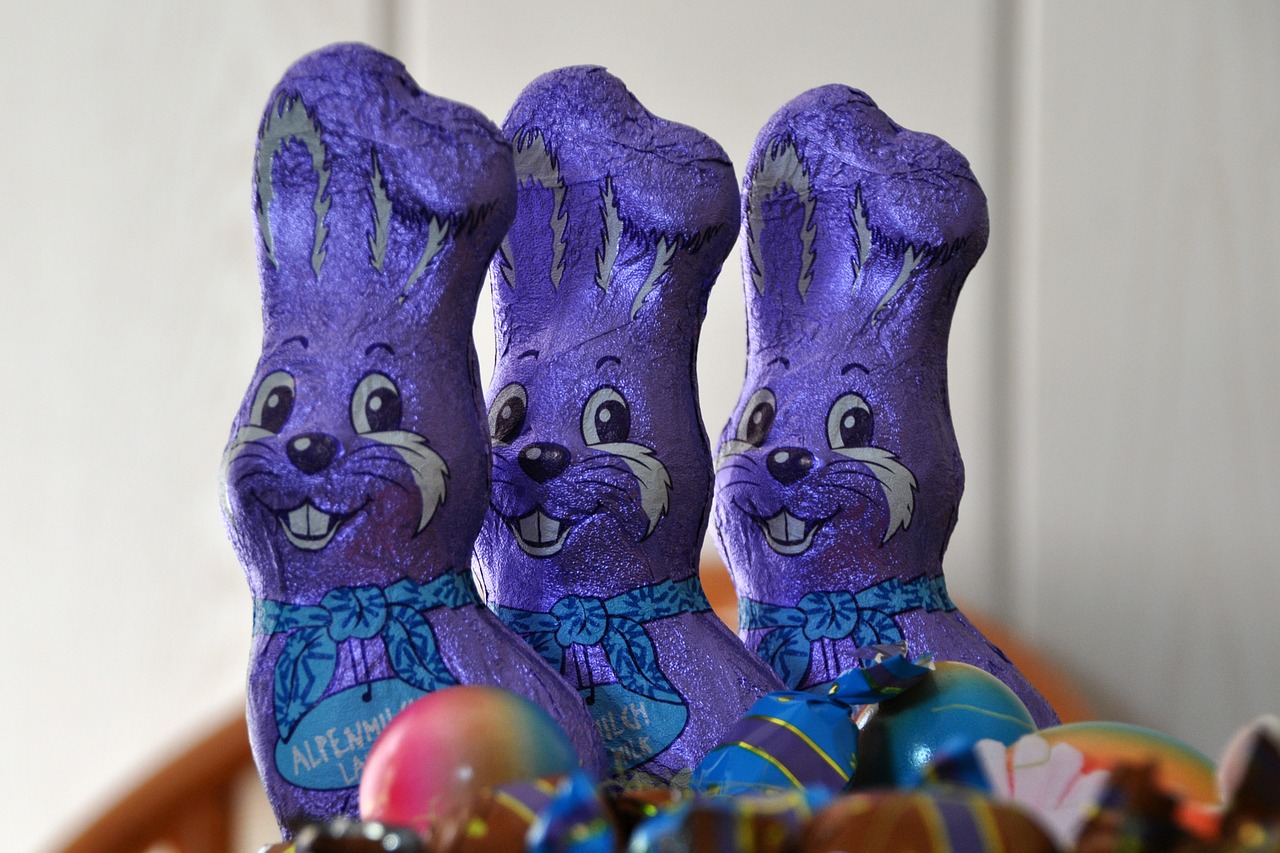 easter easter bunny chocolate free photo