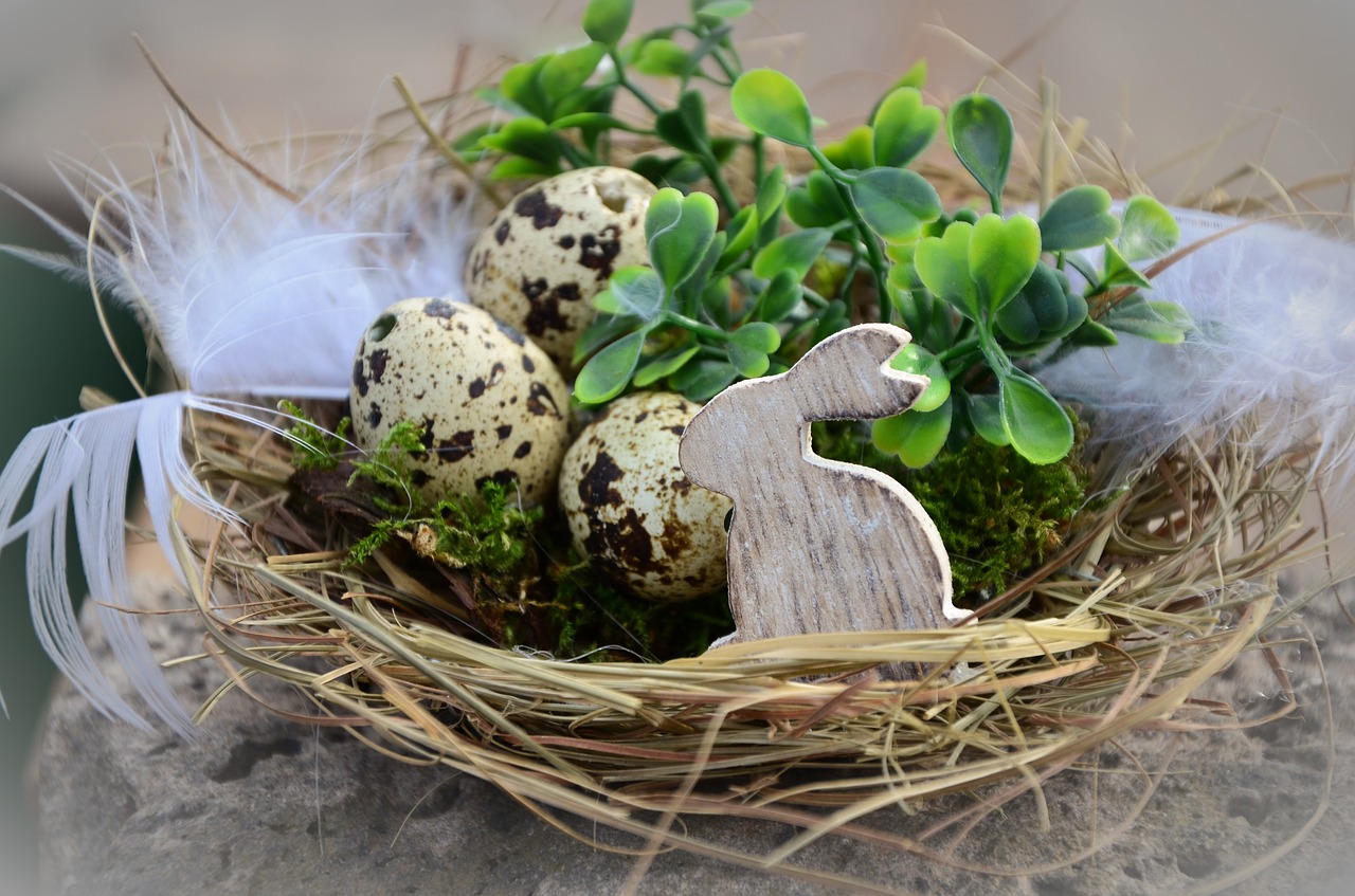 easter easter eggs nest free photo