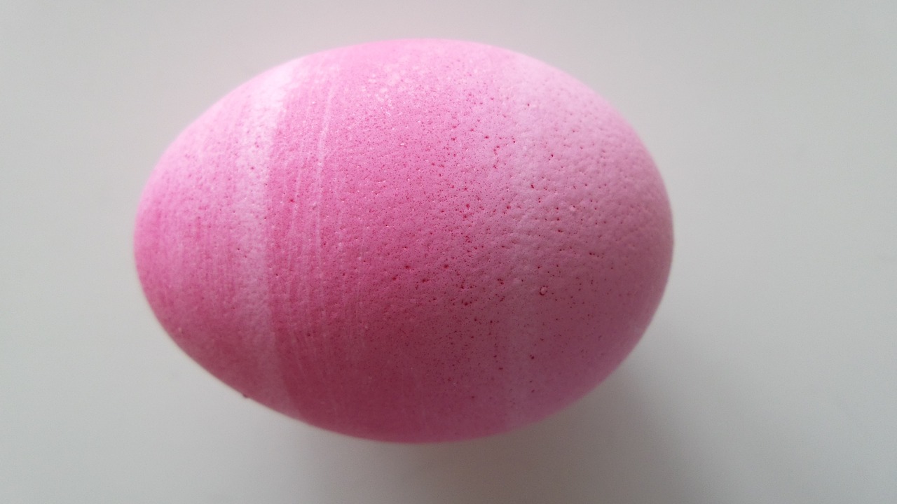 easter pink egg free photo