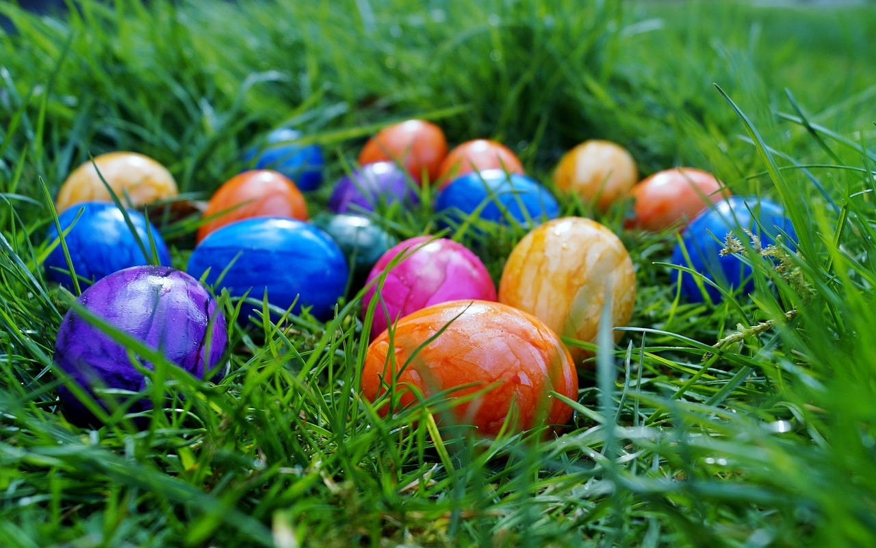 easter eggs color eggs free photo