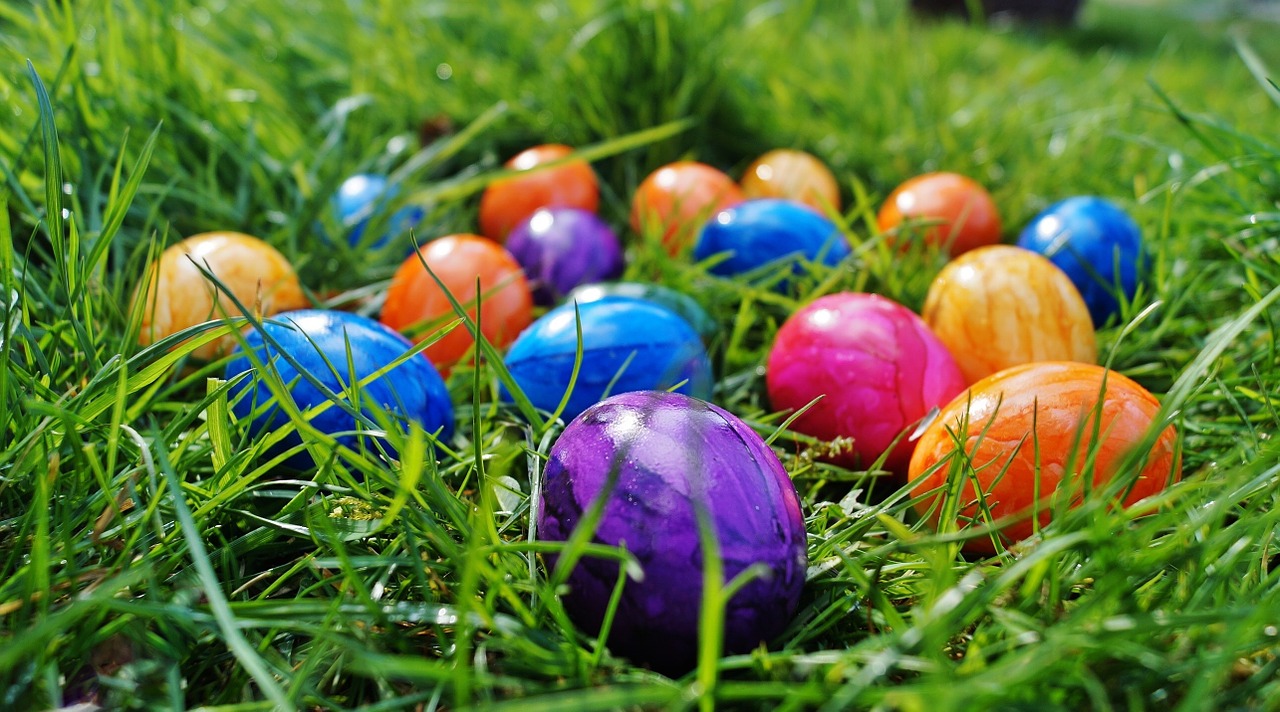 easter eggs color eggs free photo