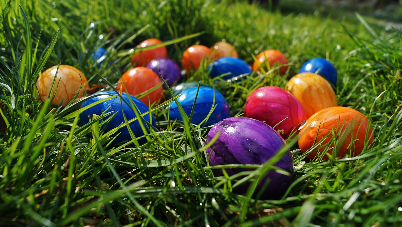 easter eggs color eggs free photo