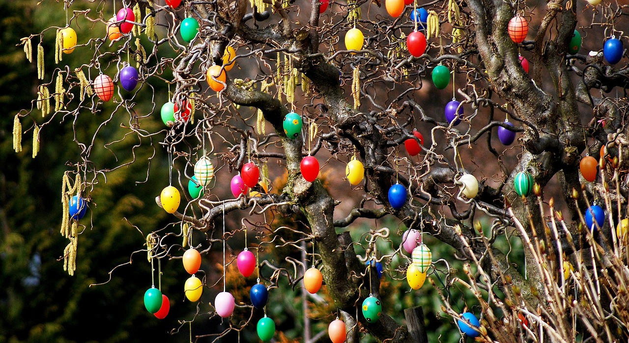 easter bush garden free photo