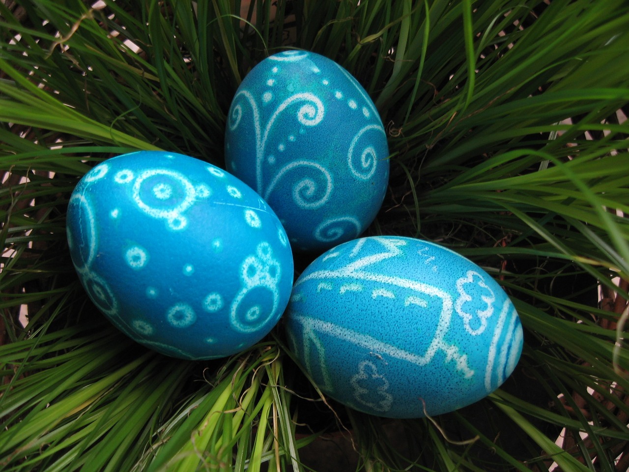 easter eggs blue free photo