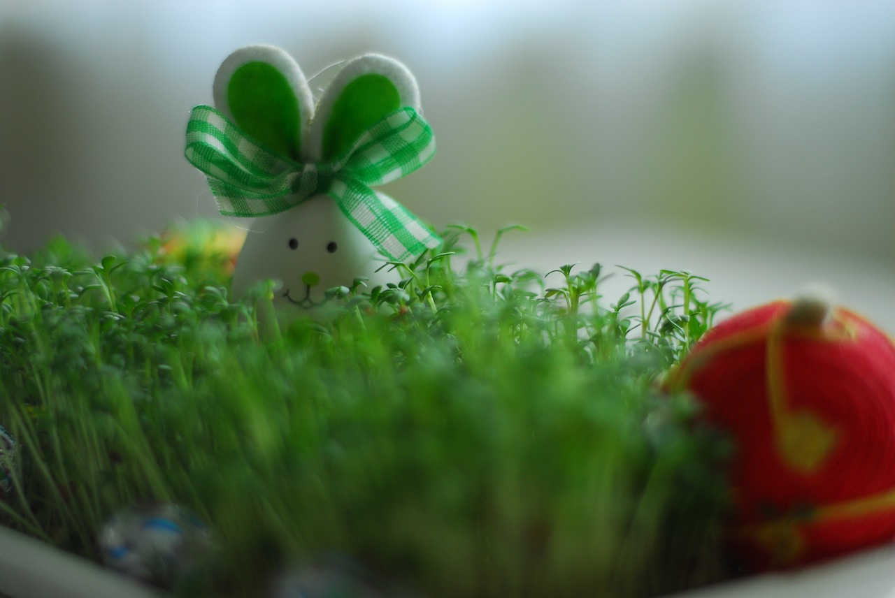easter hare green free photo