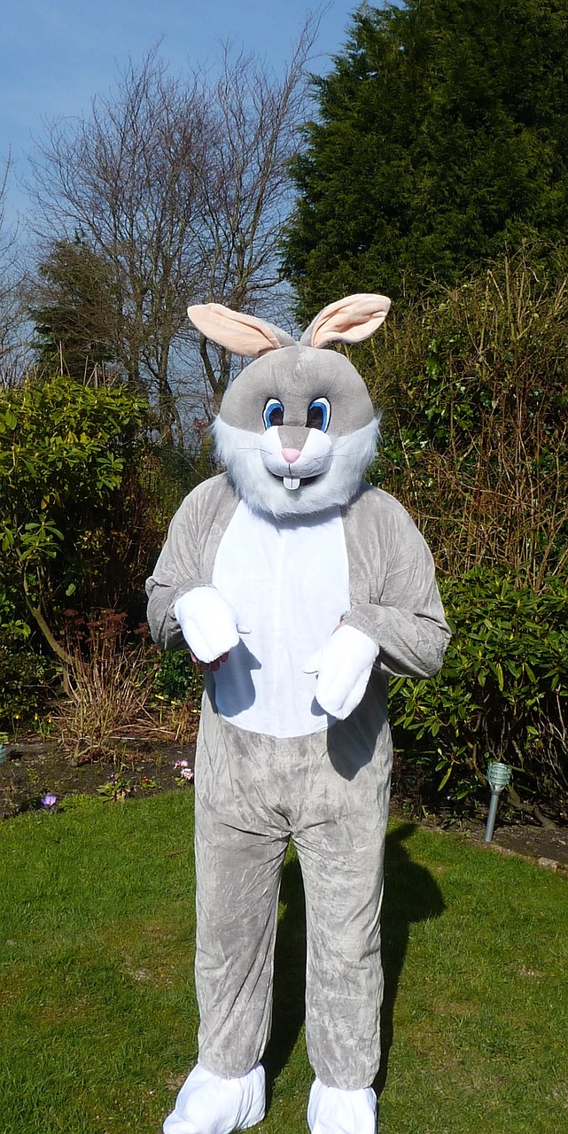 easter bunny rabbit fancy dress free photo