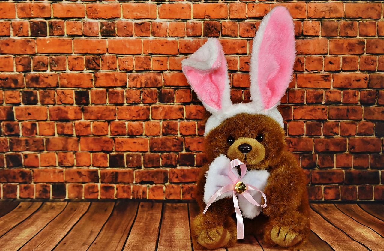 easter bunny greeting card cute free photo