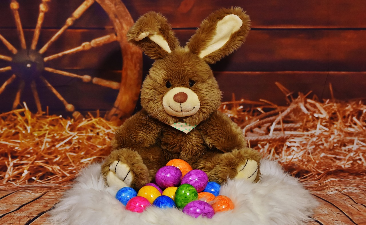 easter bunny egg colored free photo
