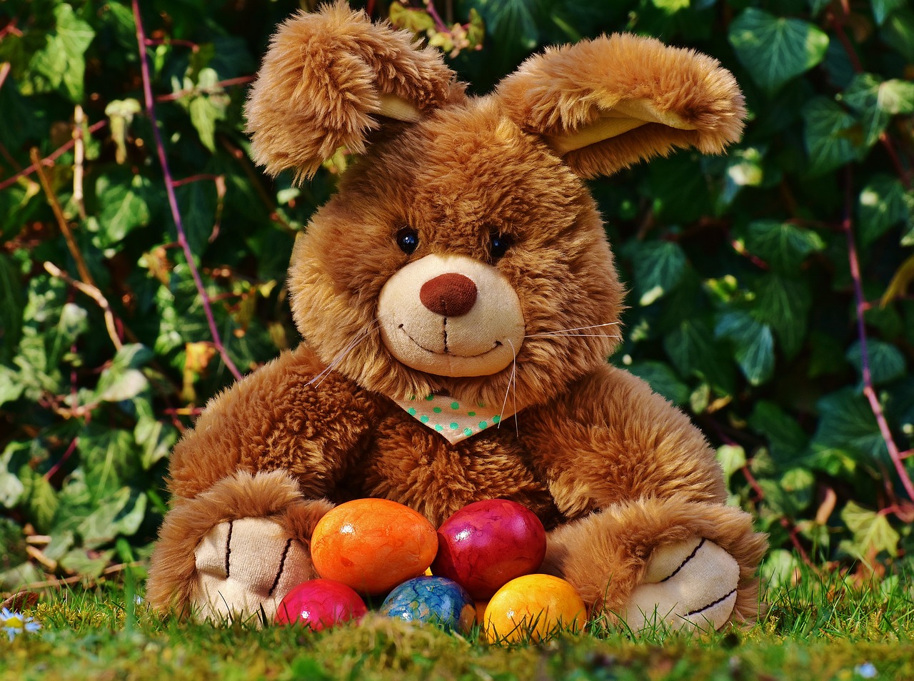 easter bunny happy easter colorful eggs free photo