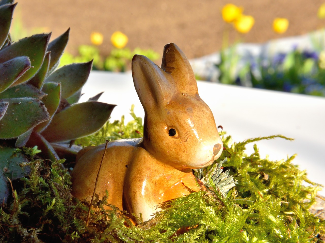 easter bunny moss hare free photo