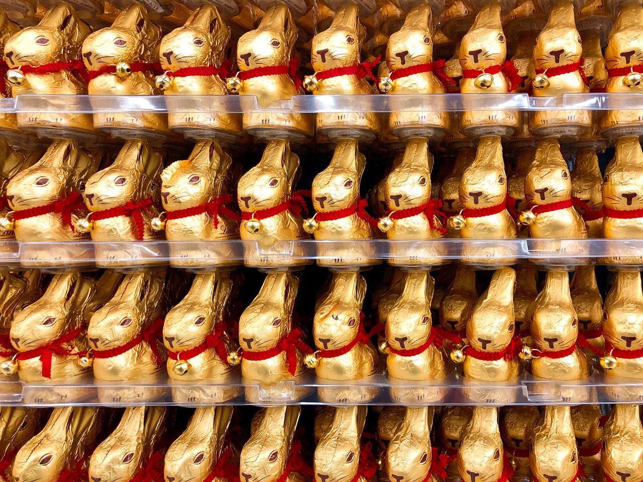 easter bunny  chocolate  display free photo