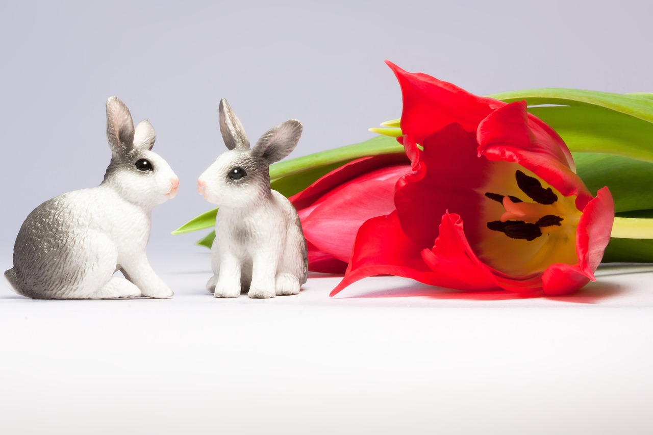 easter bunny tulip spring free photo