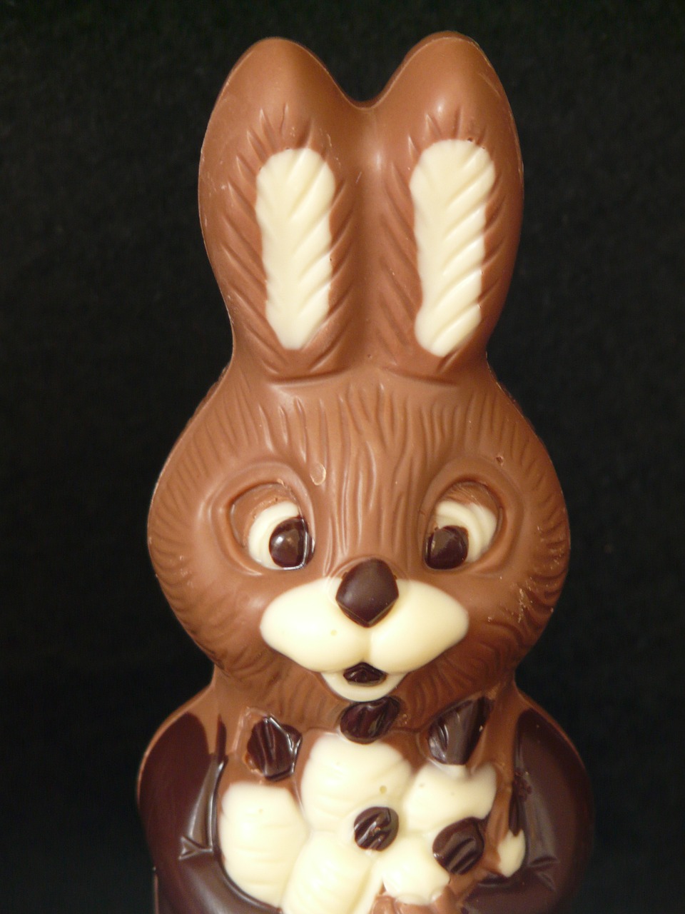 easter bunny easter chocolate free photo