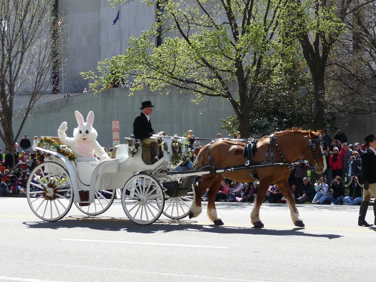 easter bunny carriage horse free photo