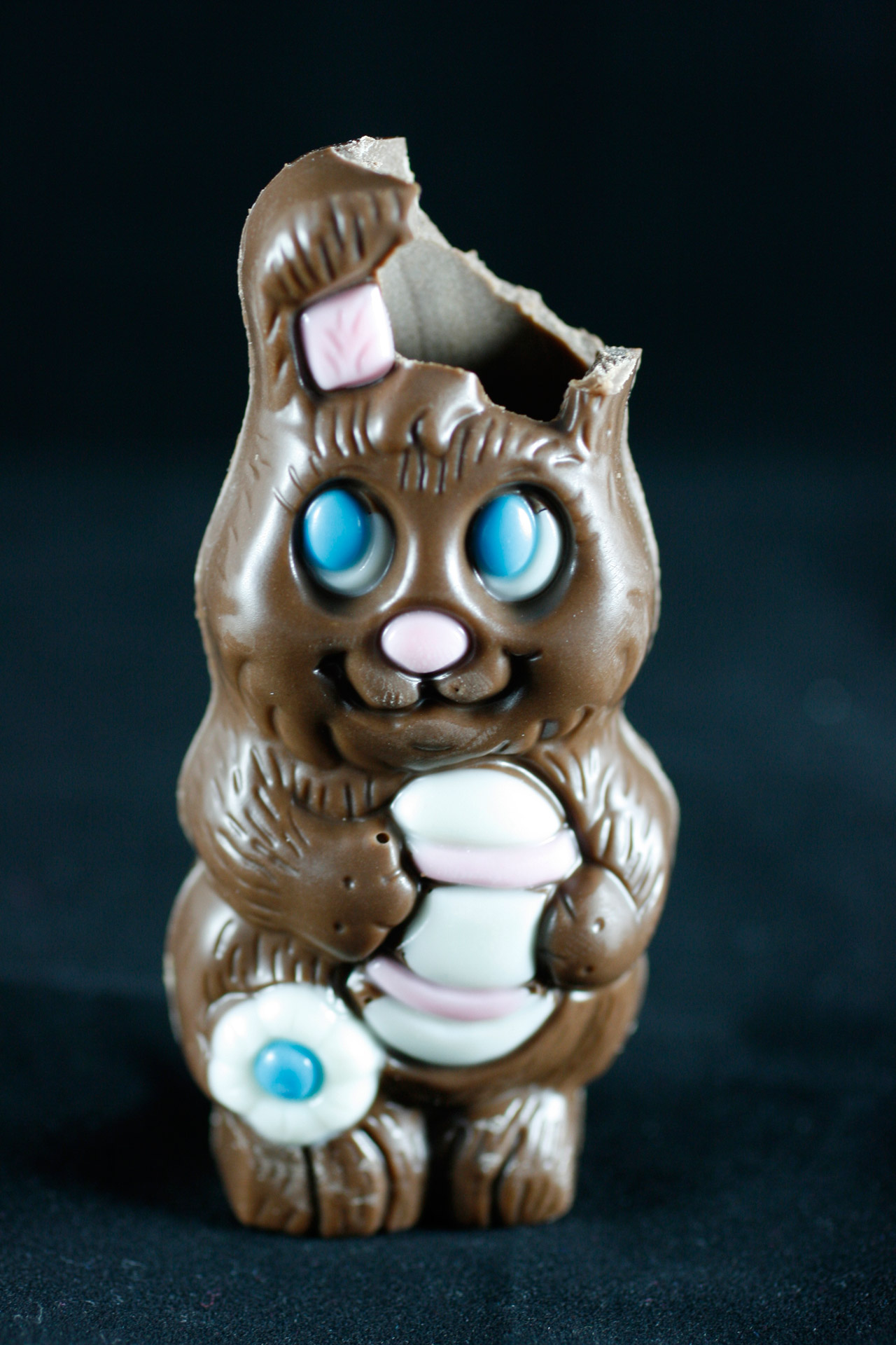 easter bunny chocolate free photo