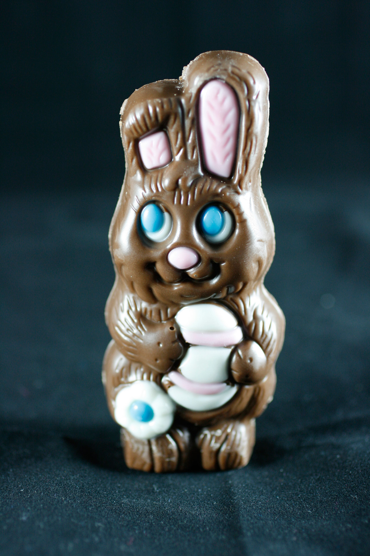 easter bunny chocolate free photo