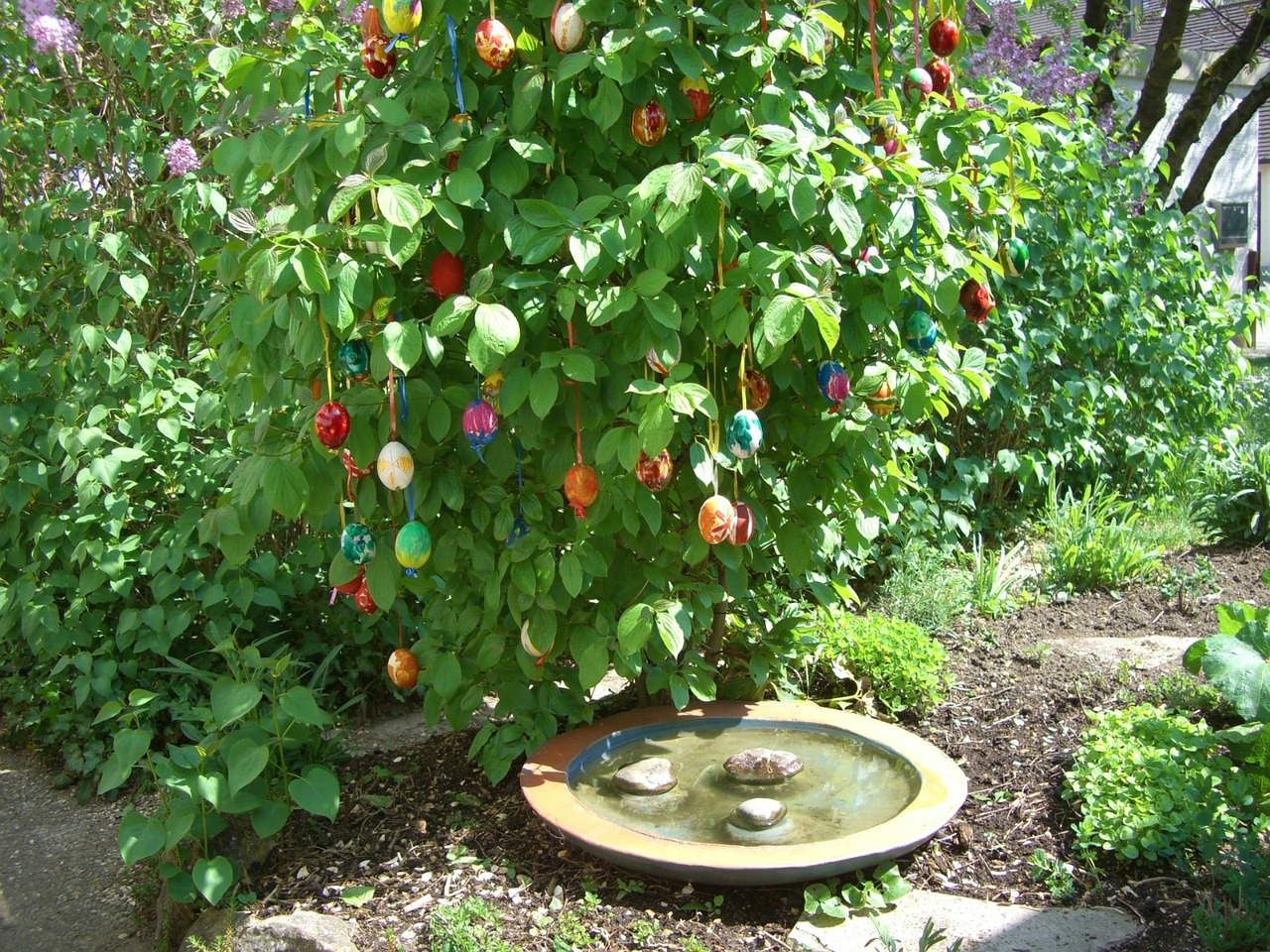 easter bush egg colorful free photo