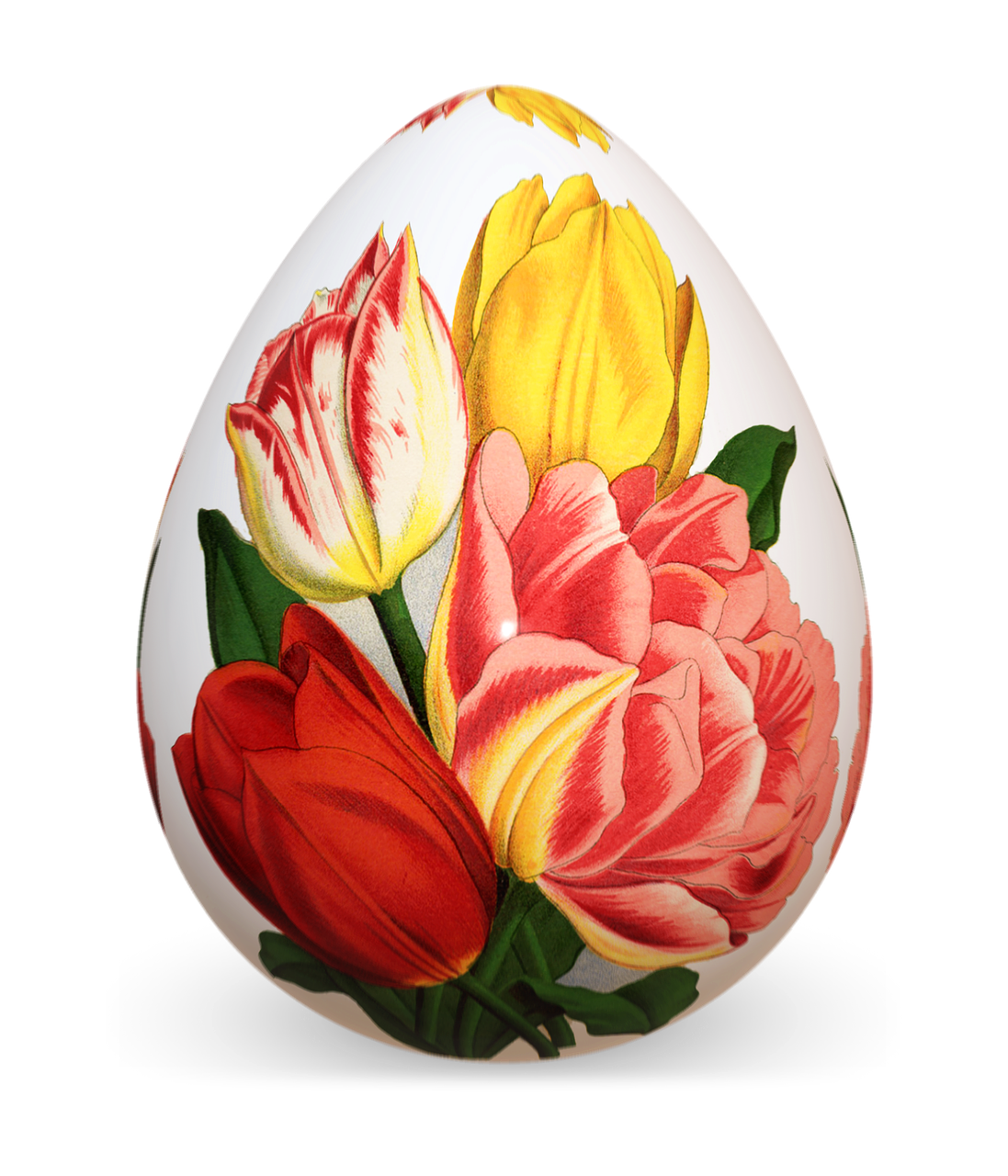 easter egg colorful tulips free photo