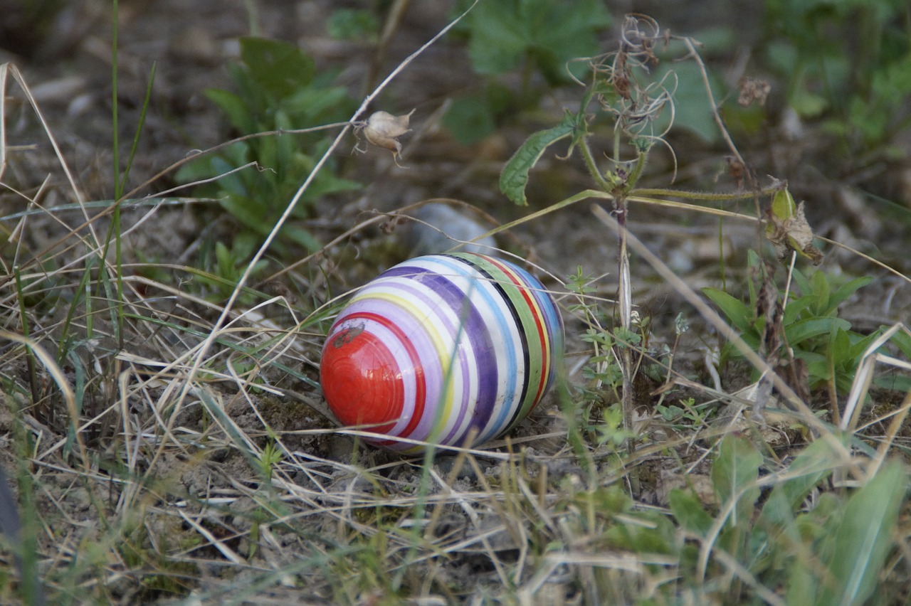 easter egg meadow spring free photo