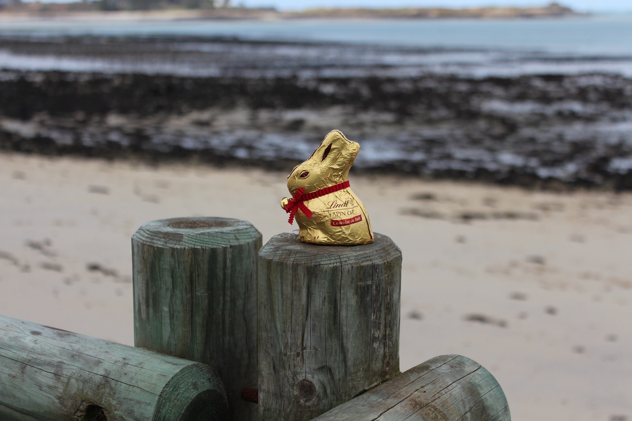 easter egg hunt seaside chocolate free photo