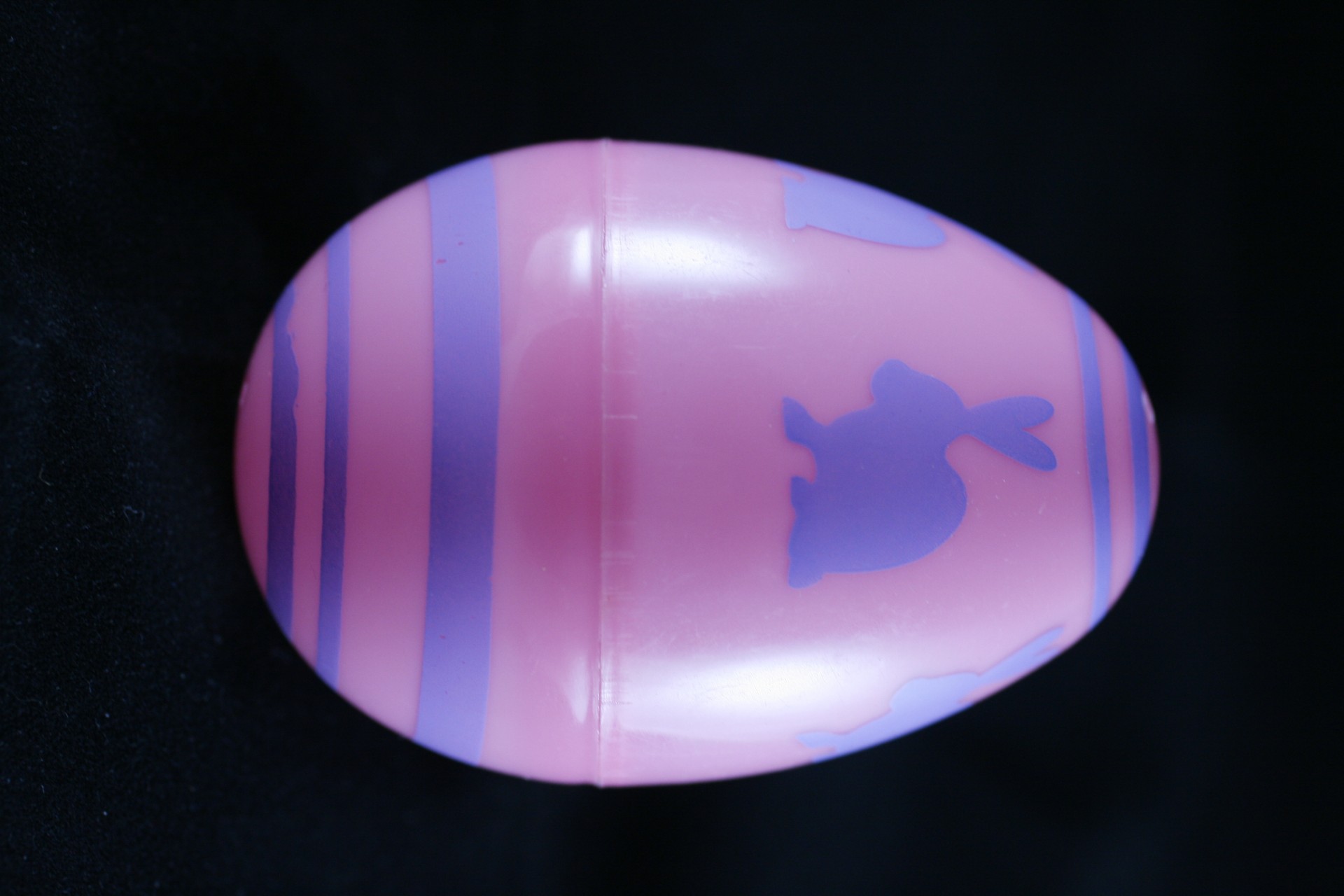 easter egg pink free photo