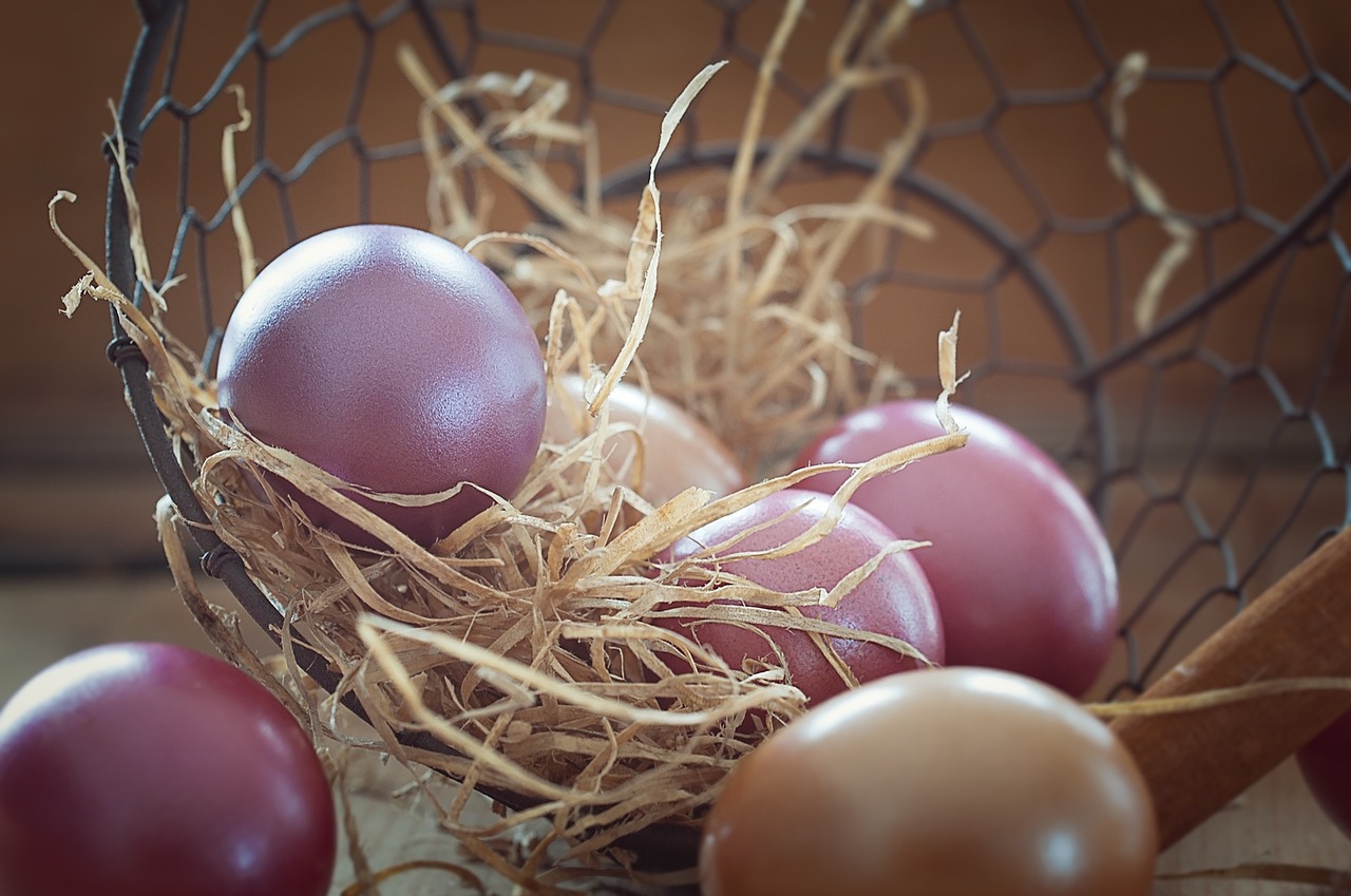 easter eggs colorful colored free photo