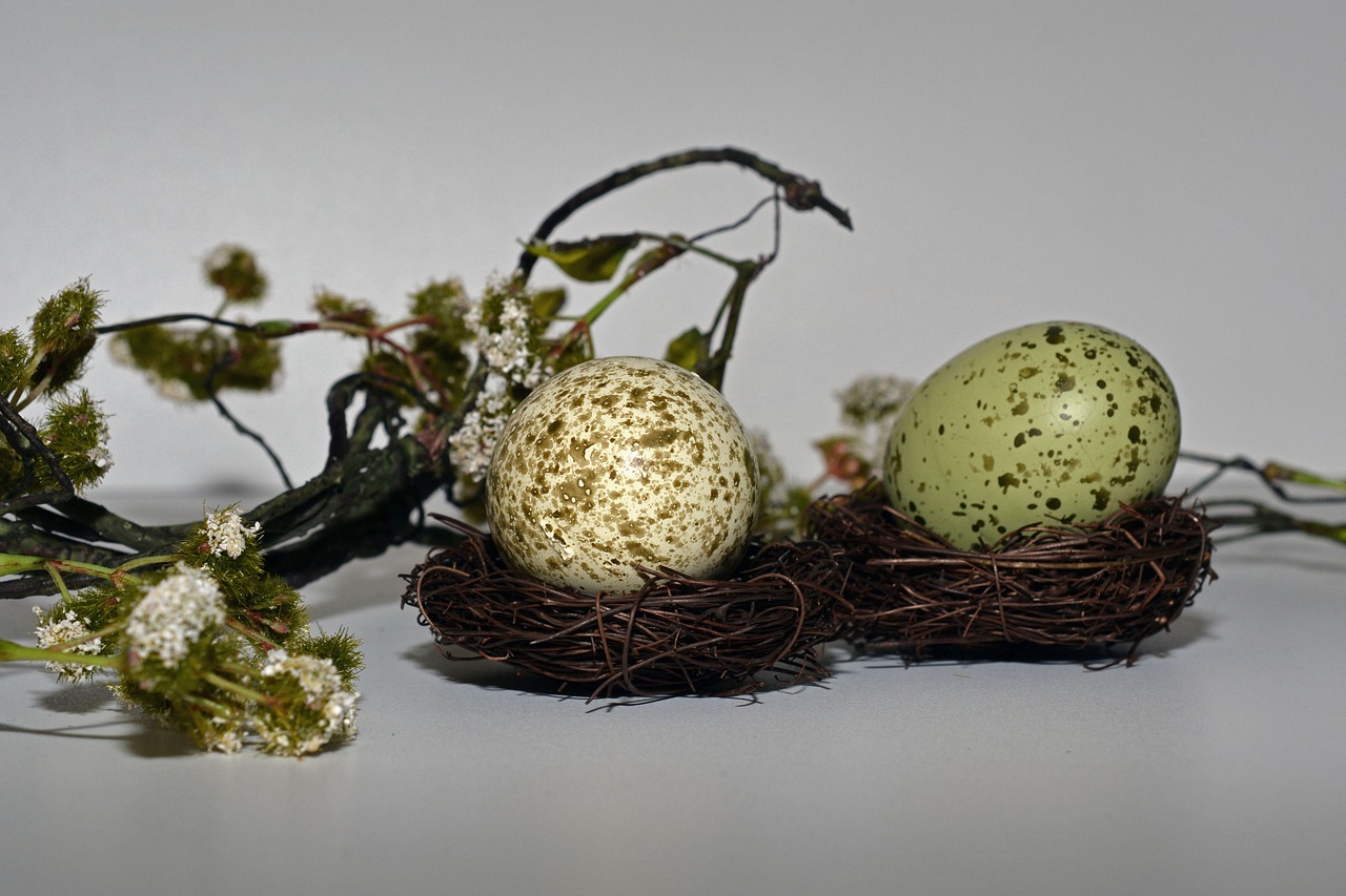 easter eggs easter nest easter free photo