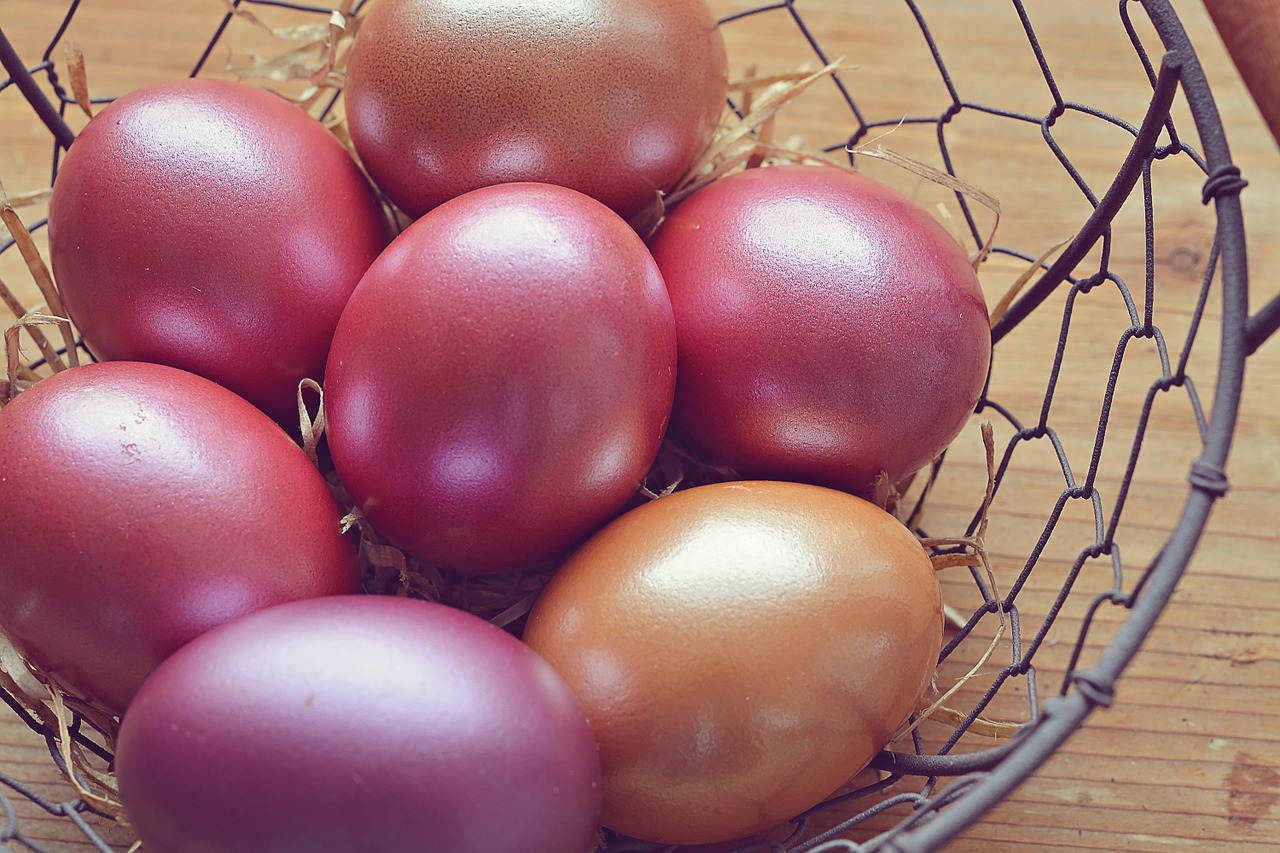 easter eggs egg color free photo