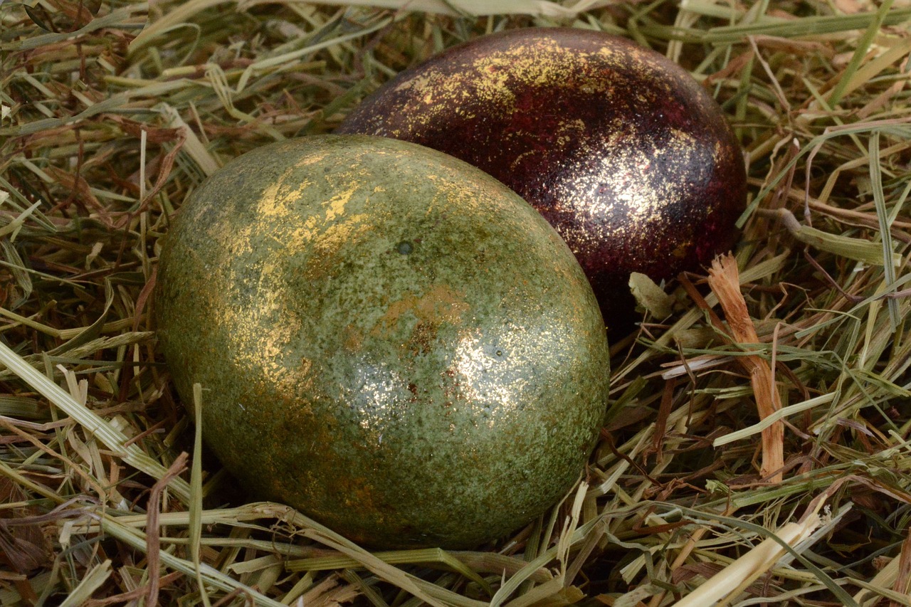 easter eggs easter egg free photo