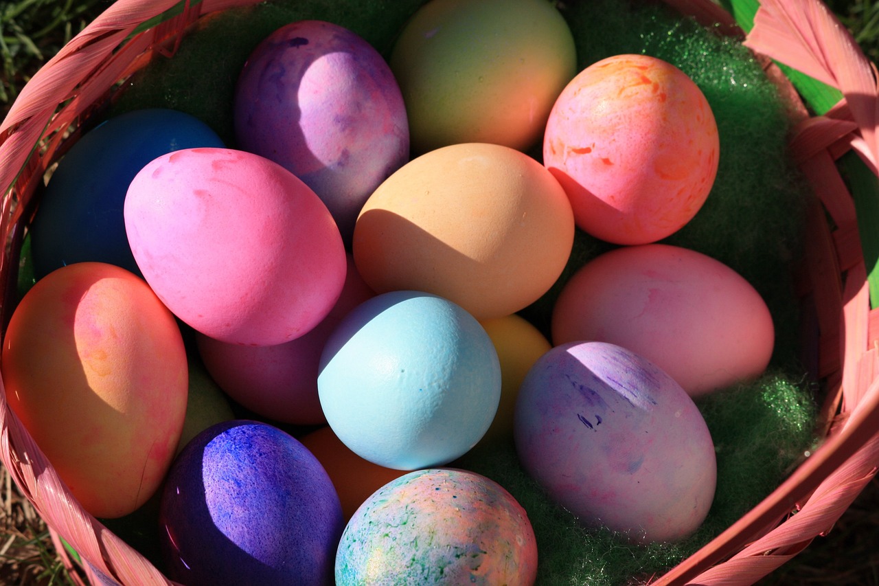 eggs easter basket free photo