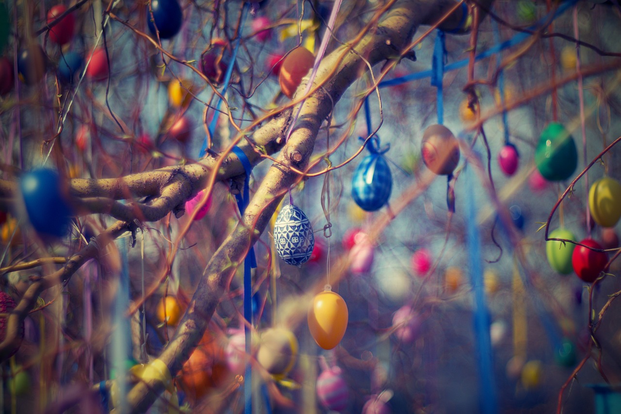 easter eggs easter tree free photo