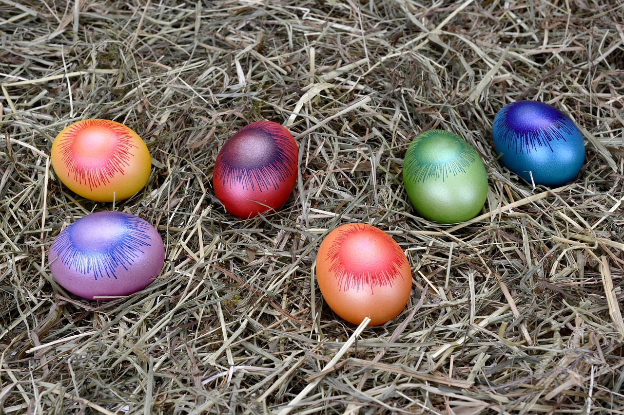 easter eggs easter egg free photo