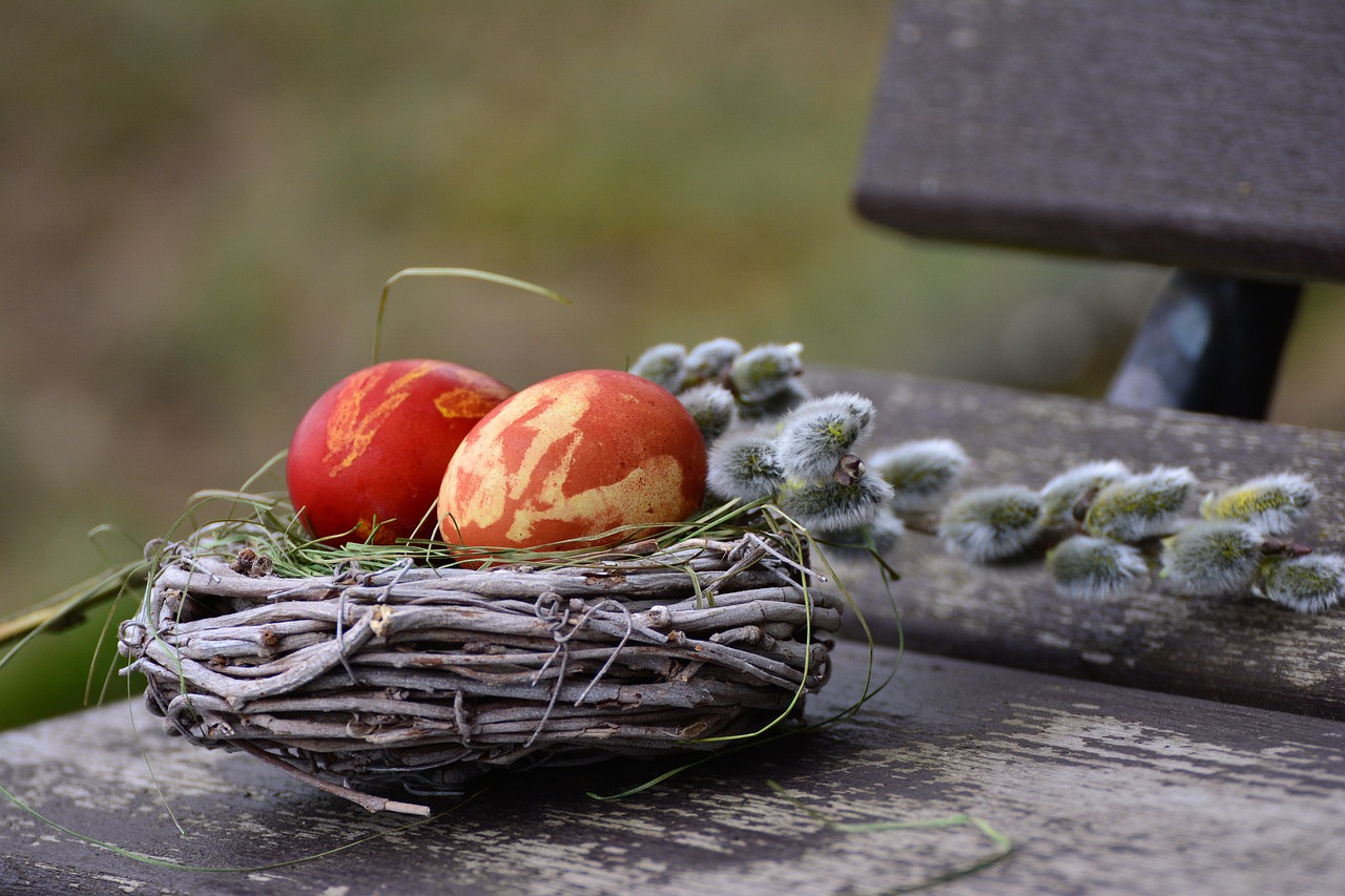 easter eggs easter nest easter decoration free photo