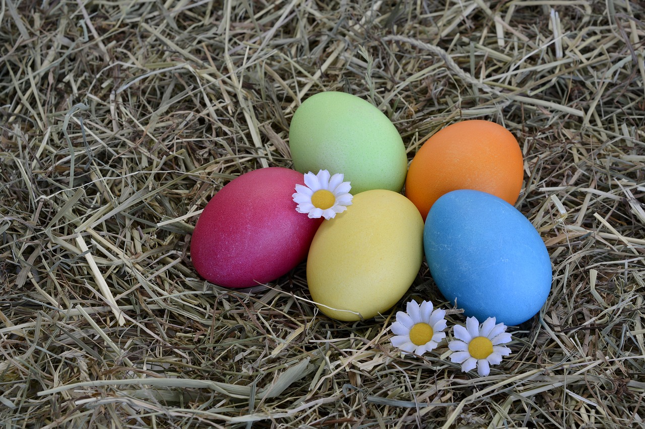 easter eggs easter egg free photo