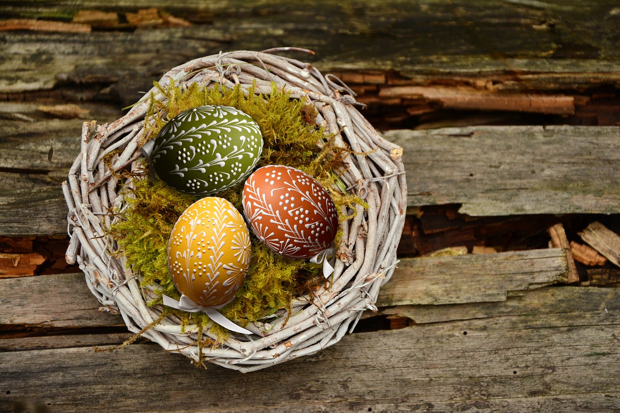 easter eggs easter nest easter free photo